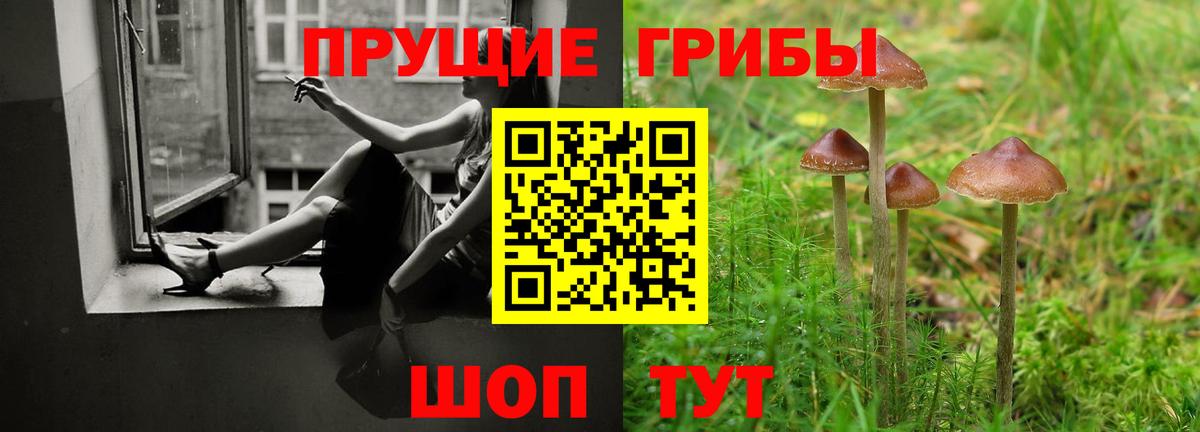 Галлюциногенные грибы Psilocybe Златоуст